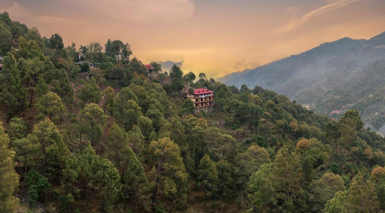 Host Jatin Kasauli Pine Villa 7Oi827O7O3 Dış mekan fotoğraf